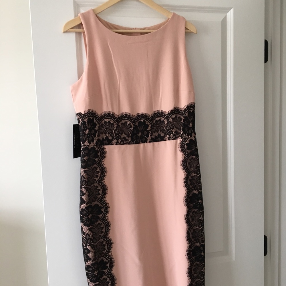 The Limited Pink Dress with Black Lace Detail